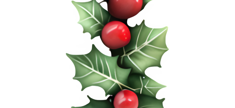 Christmas Holly - Designs by Forte Copyright @ 2023