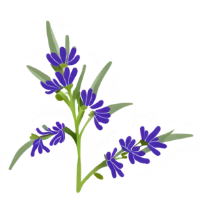 Lavender Clip Art @ Copyright Designs by Forte