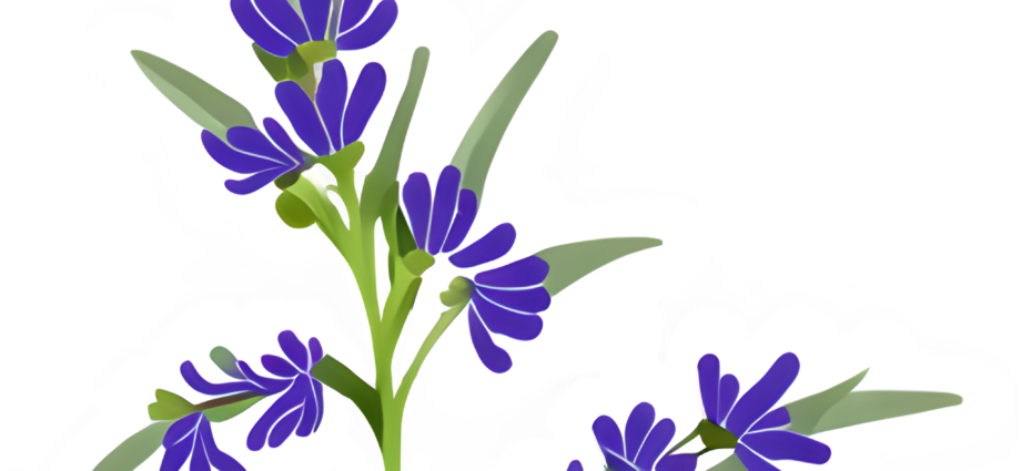 Lavender Clip Art @ Copyright Designs by Forte