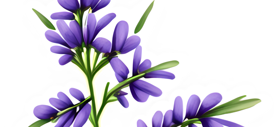 Lavender Clip Art @ Copyright Designs by Forte