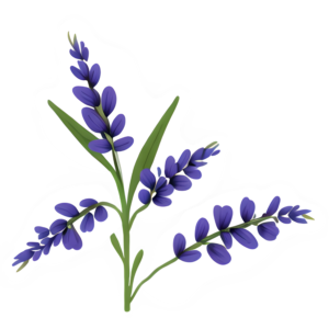 Lavender Clip Art @ Copyright Designs by Forte