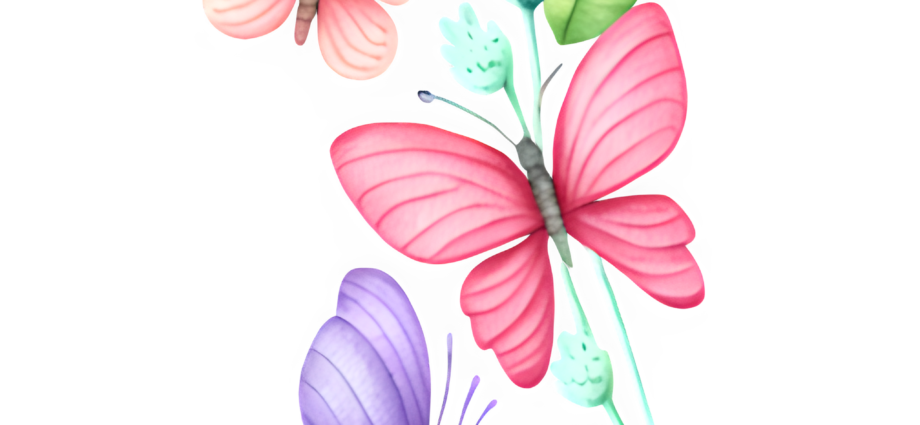 Butterflies Clip Art Designs by Forte @ Copyright 2024