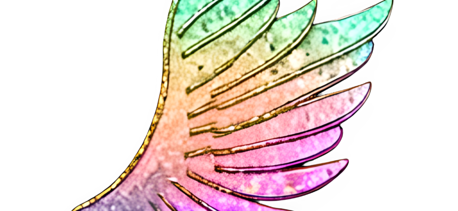 Rainbow Fairy Wings @ Copyright Designs by Forte