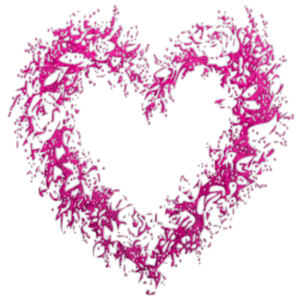 Heart Frame 800 x 800 - Created by Designs by Forte