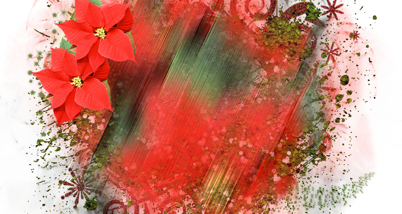 Christmas Background Element 800 x 800 - Created by Designs by Forte