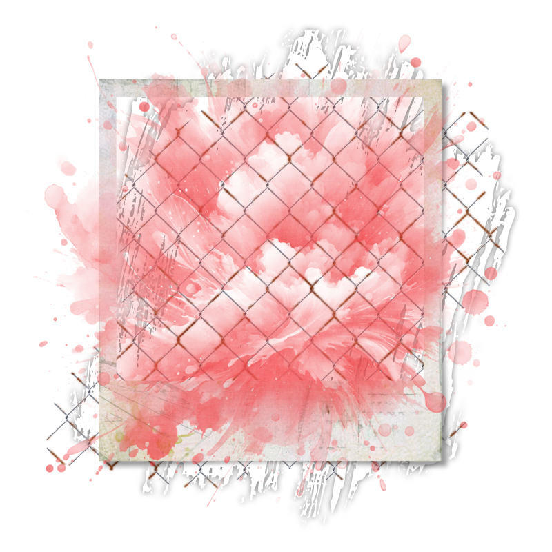 Cluster Frame 800 x 800 Created by Designs by Forte