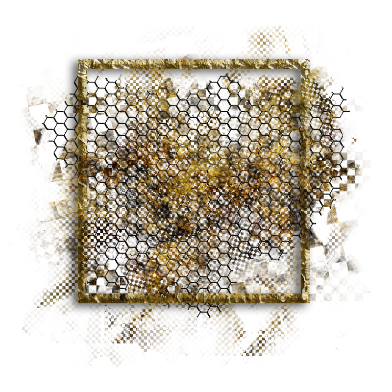 Cluster Frame 800 x 800 Created by Designs by Forte