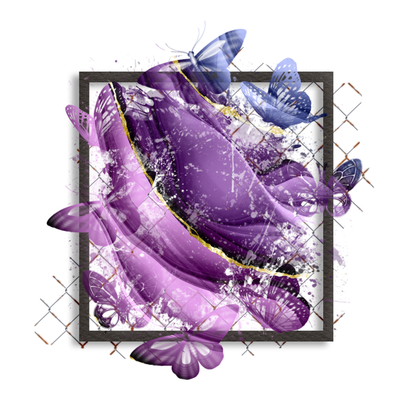 Cluster Frame 800 x 800 Created by Designs by Forte