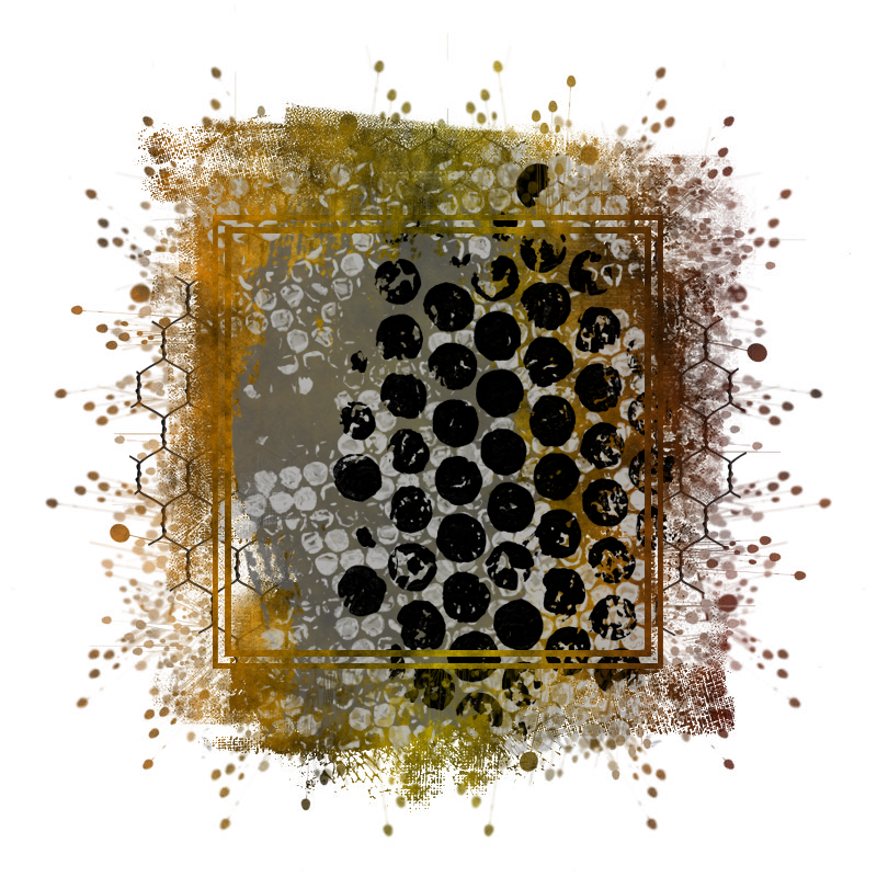 Cluster Frame 800 x 800 Created by Designs by Forte