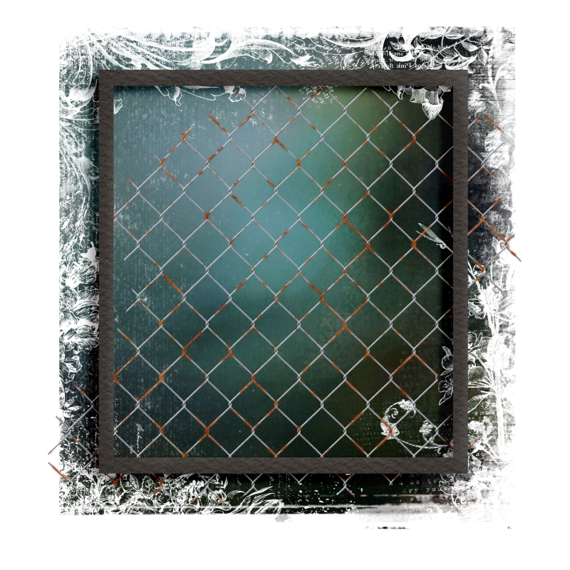 Cluster Frame 800 x 800 Created by Designs by Forte