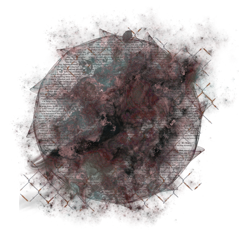 Cluster Frame 800 x 800 Created by Designs by Forte