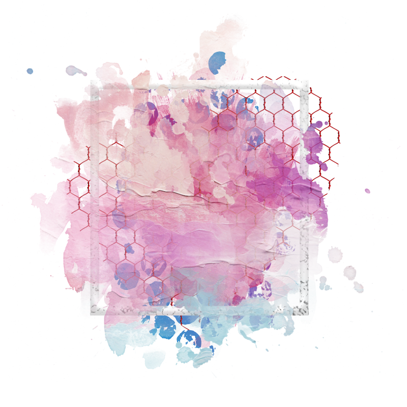 Cluster Frame 800 x 800 Created by Designs by Forte