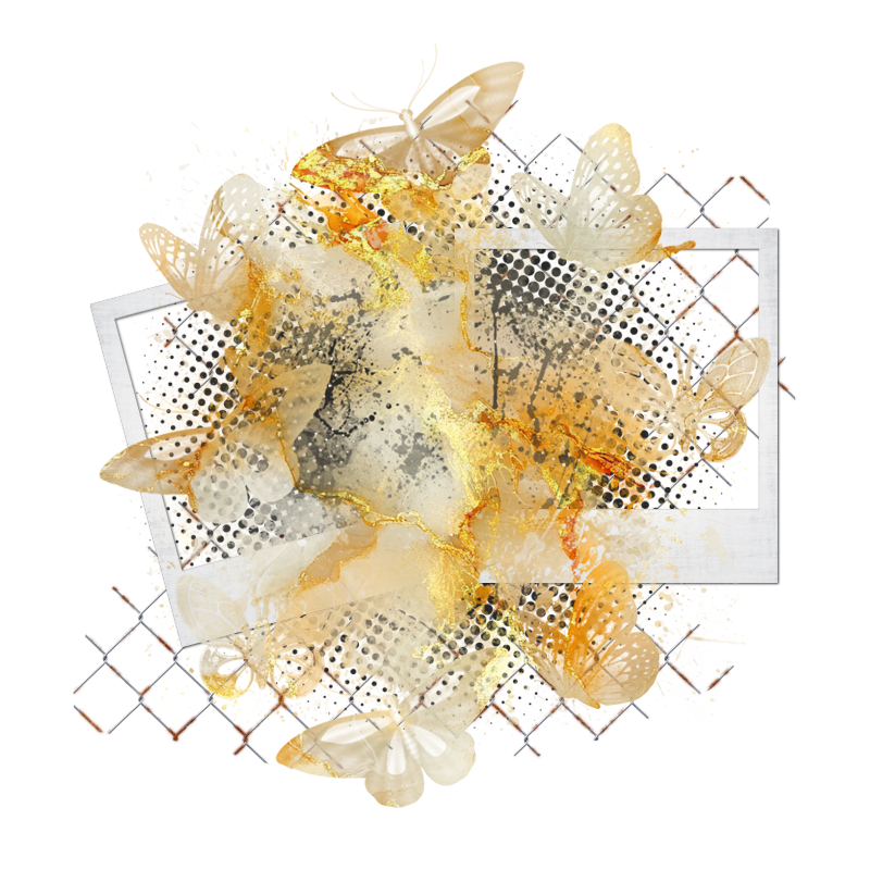 Cluster Frame 800 x 800 Created by Designs by Forte