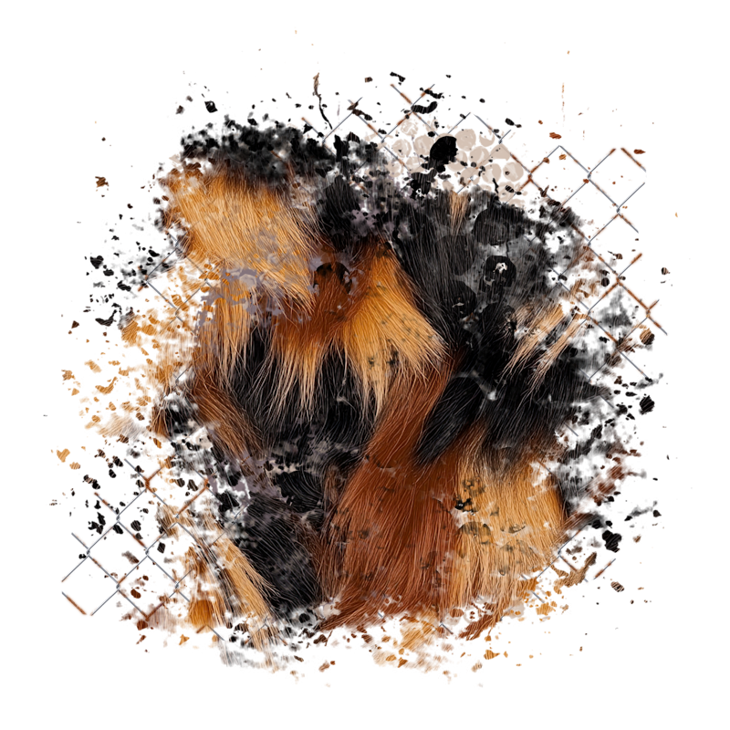 Cluster Frame 800 x 800 Created by Designs by Forte