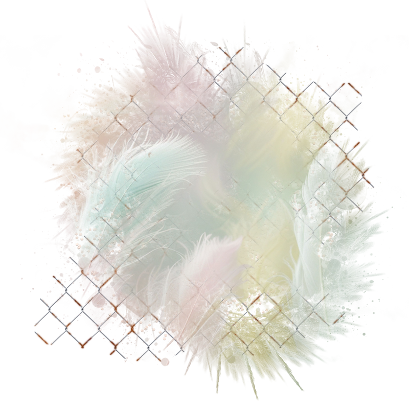 Cluster Frame 800 x 800 Created by Designs by Forte