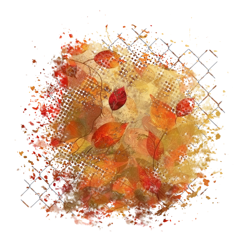 Cluster Frame 800 x 800 Created by Designs by Forte