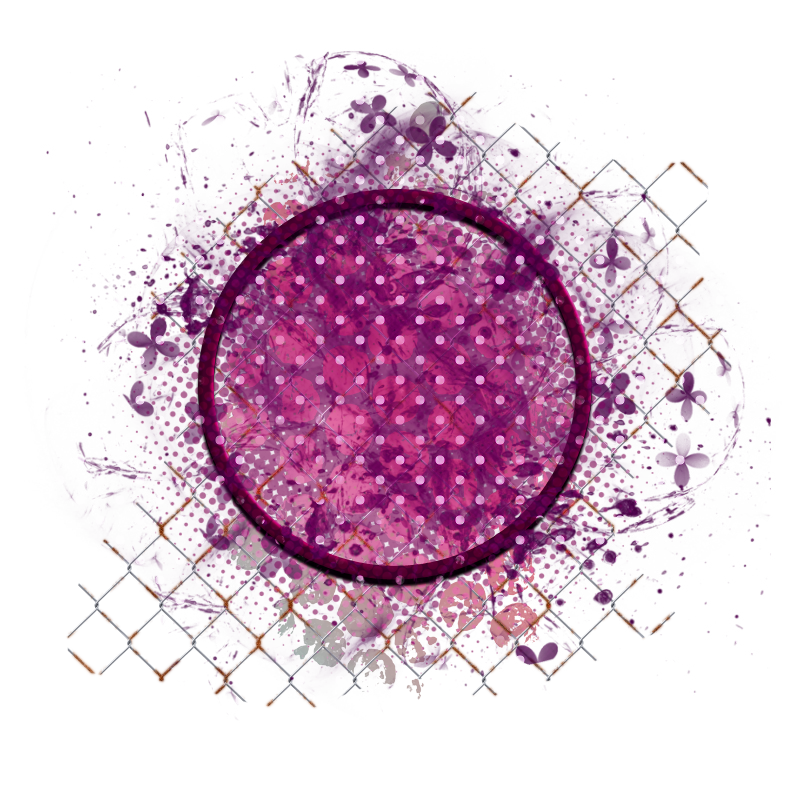Cluster Frame 800 x 800 Created by Designs by Forte