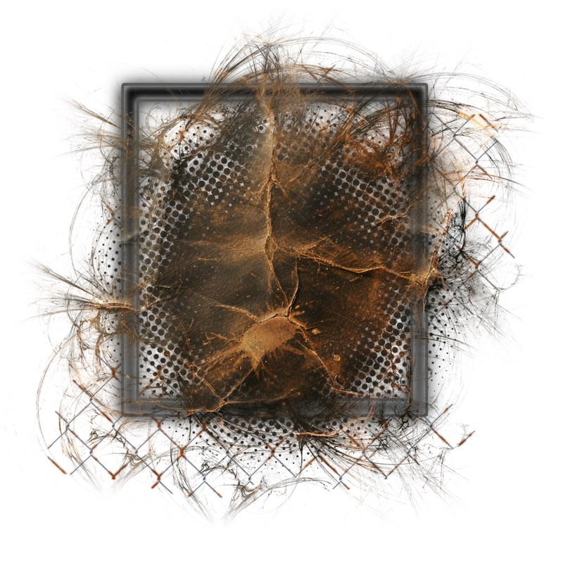 Cluster Frame 800 x 800 Created by Designs by Forte