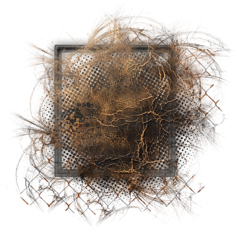 Cluster Frame 800 x 800 Created by Designs by Forte