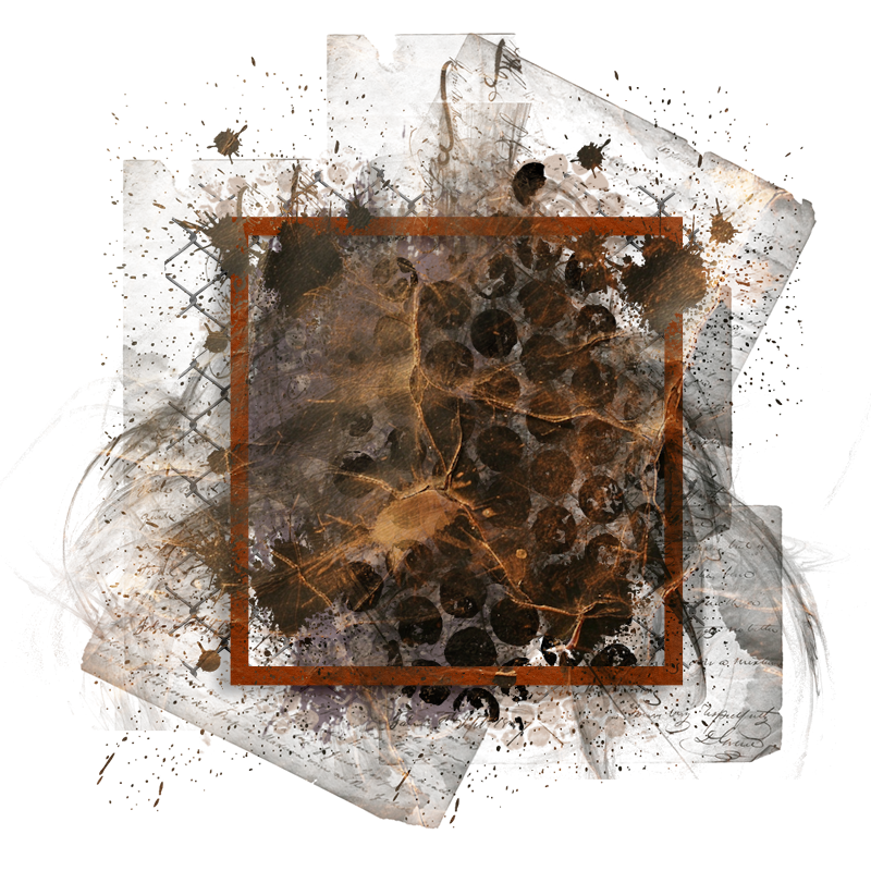 Cluster Frame 800 x 800 Created by Designs by Forte