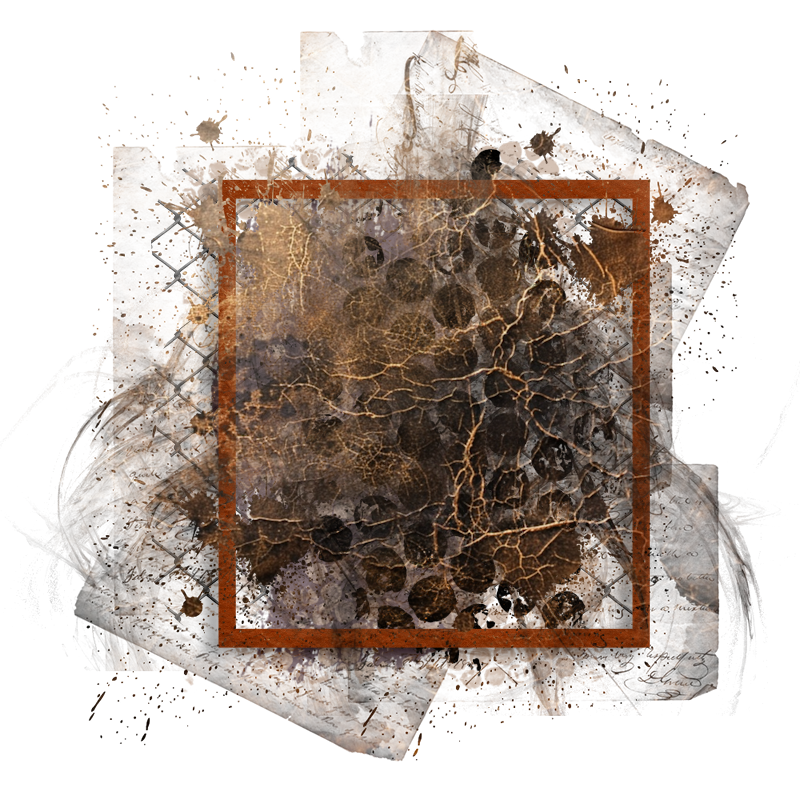 Cluster Frame 800 x 800 Created by Designs by Forte
