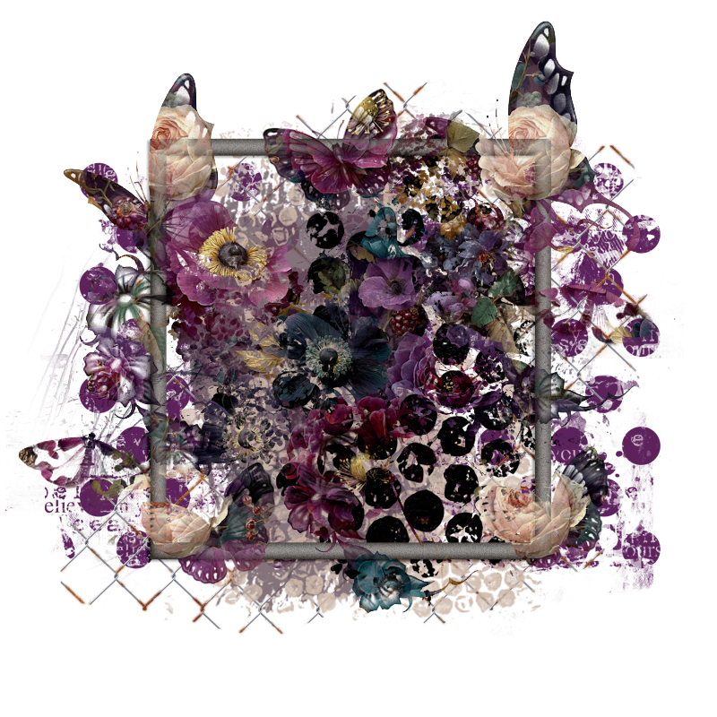 Cluster Frame 800 x 800 Created by Designs by Forte