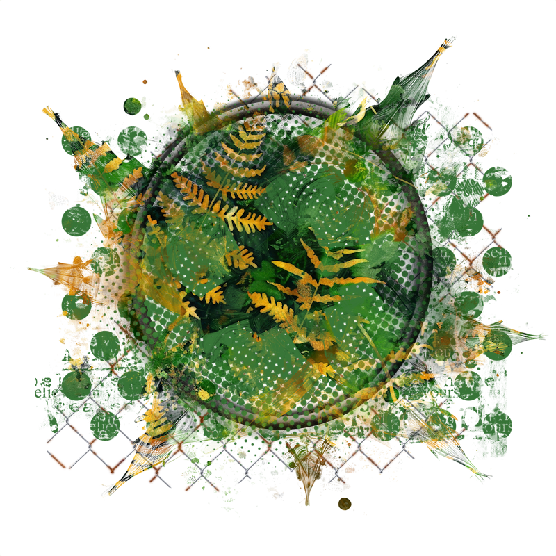 Cluster Frame 800 x 800 Created by Designs by Forte