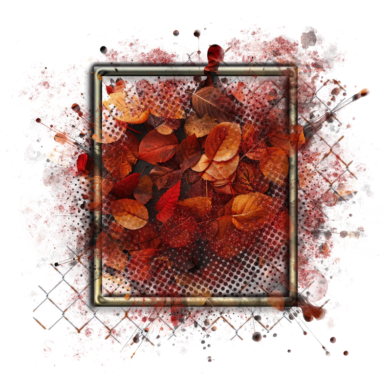 Cluster Frame 800 x 800 Created by Designs by Forte