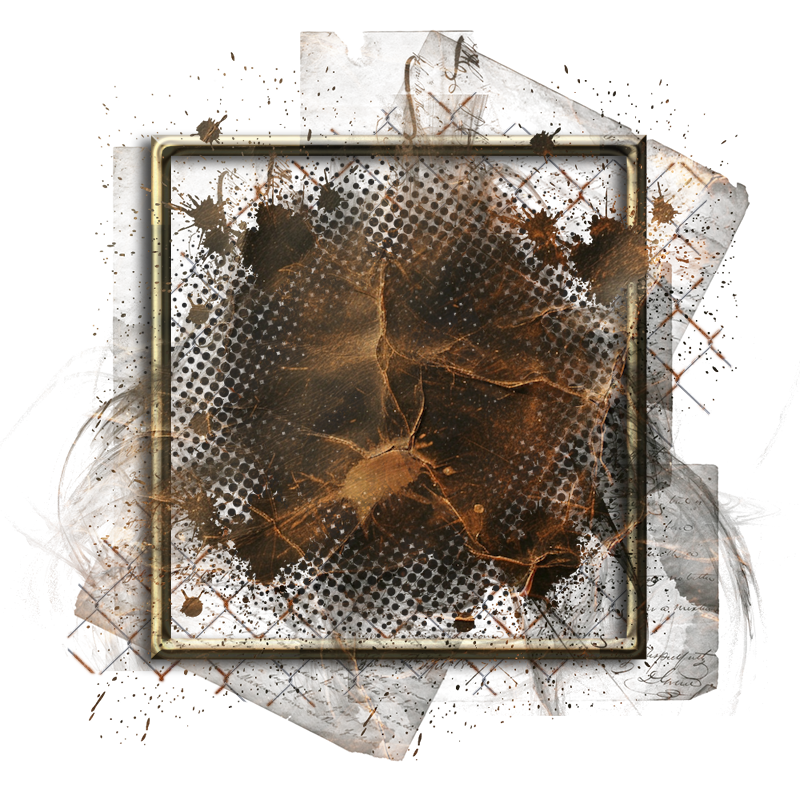 Cluster Frame 800 x 800 Created by Designs by Forte