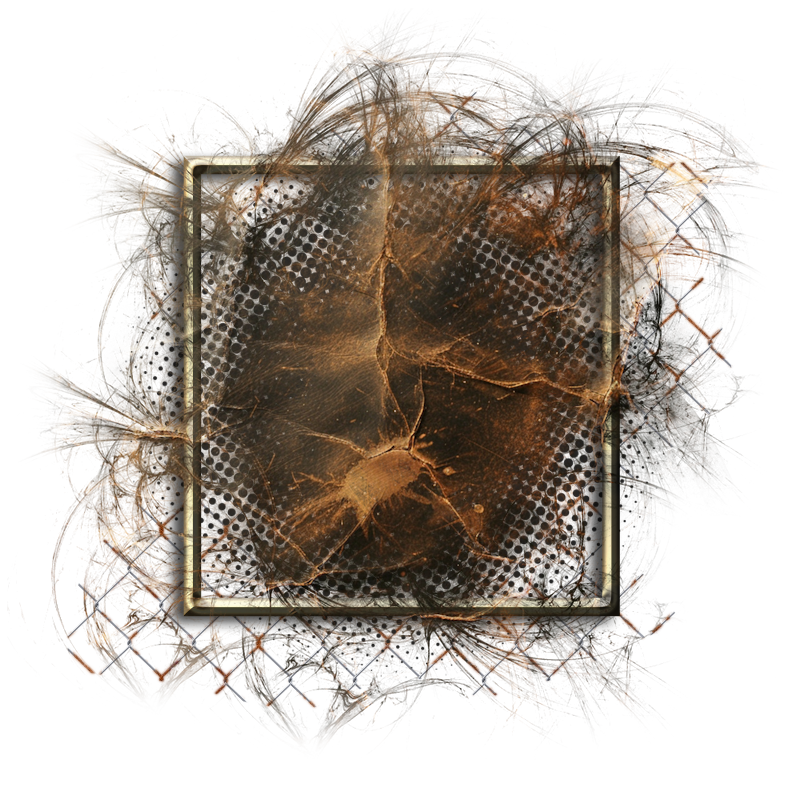 Cluster Frame 800 x 800 Created by Designs by Forte